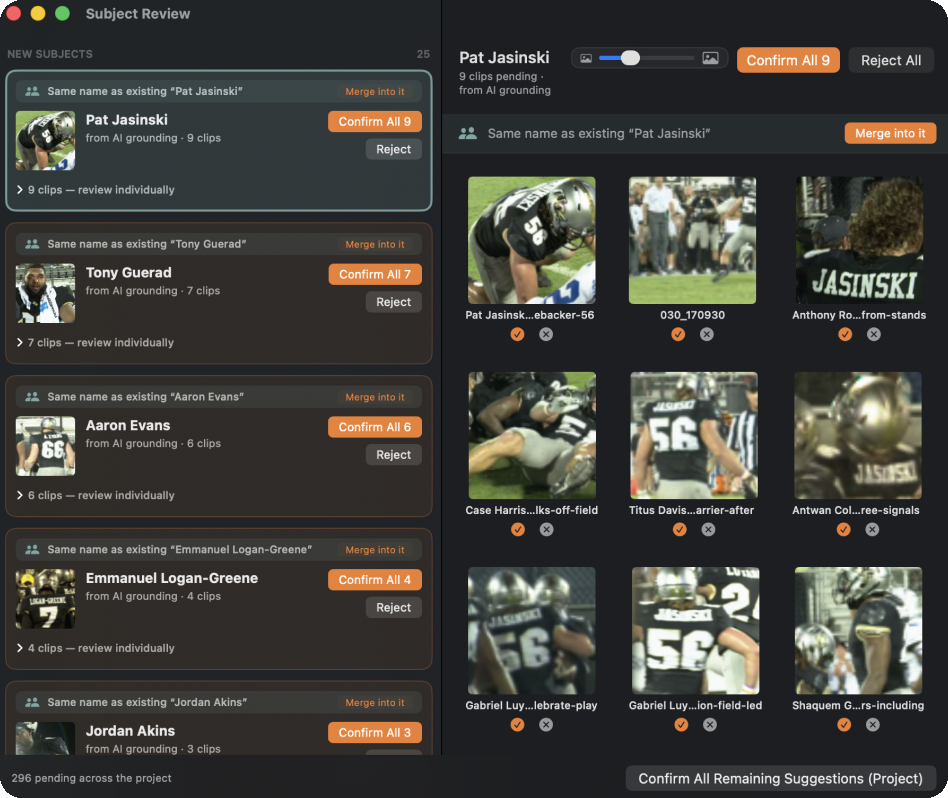 Subject review — confirm all, or one clip at a time