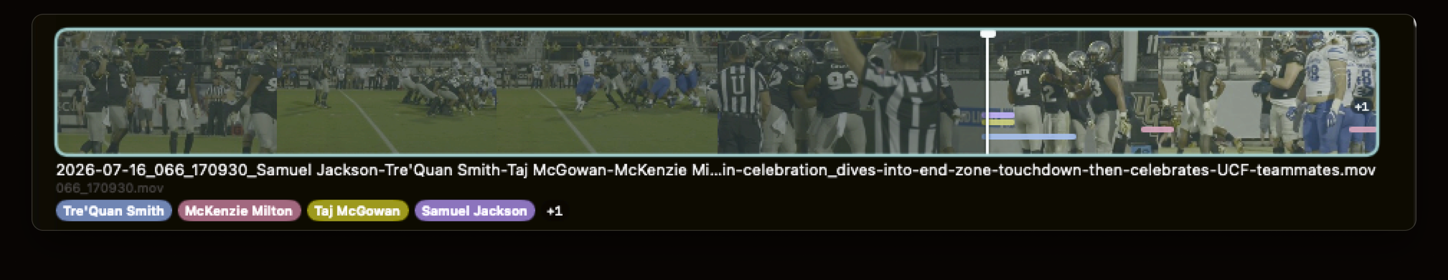 A clip in the reel carrying its descriptive name and subject chips